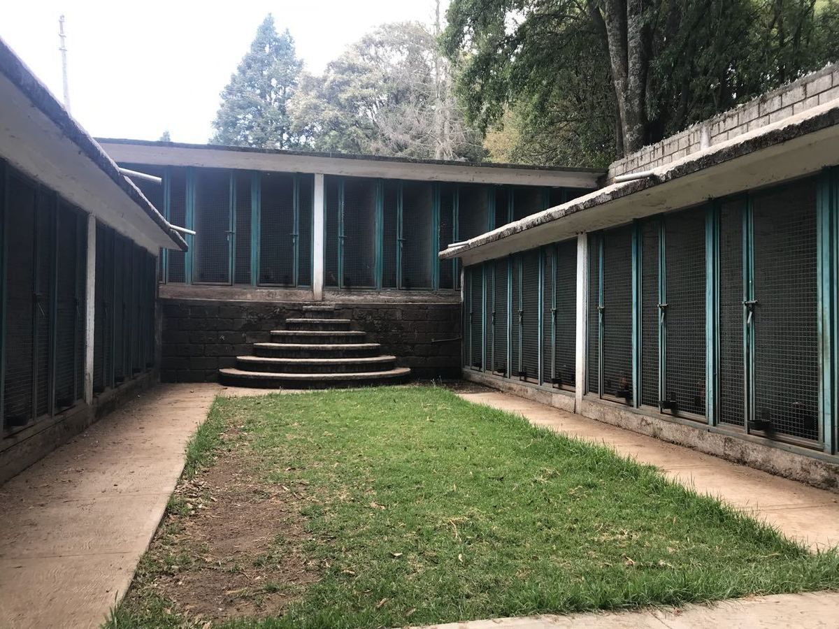 Rancho en venta, con Hectáreas de Bosque, caballerizas y jaulas para gallos.