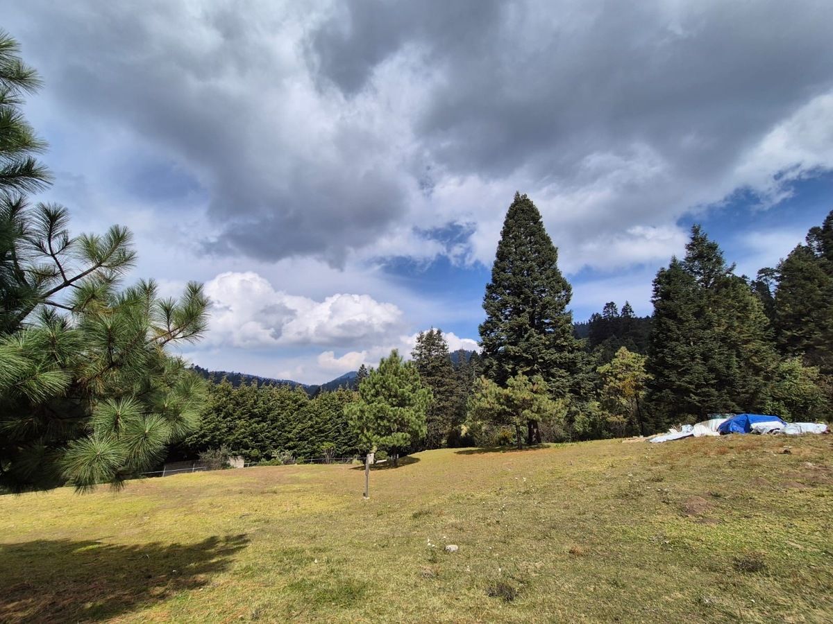 EXCELENTE TERRENO EN VENTA EN LERMA EDO DE MÉXICO - foto 4