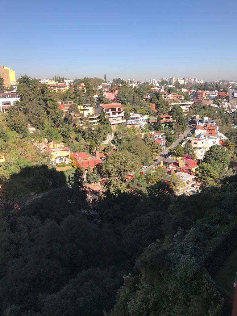 17 de 18