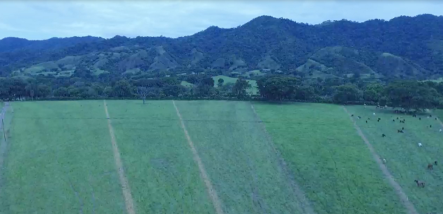 4 de 7