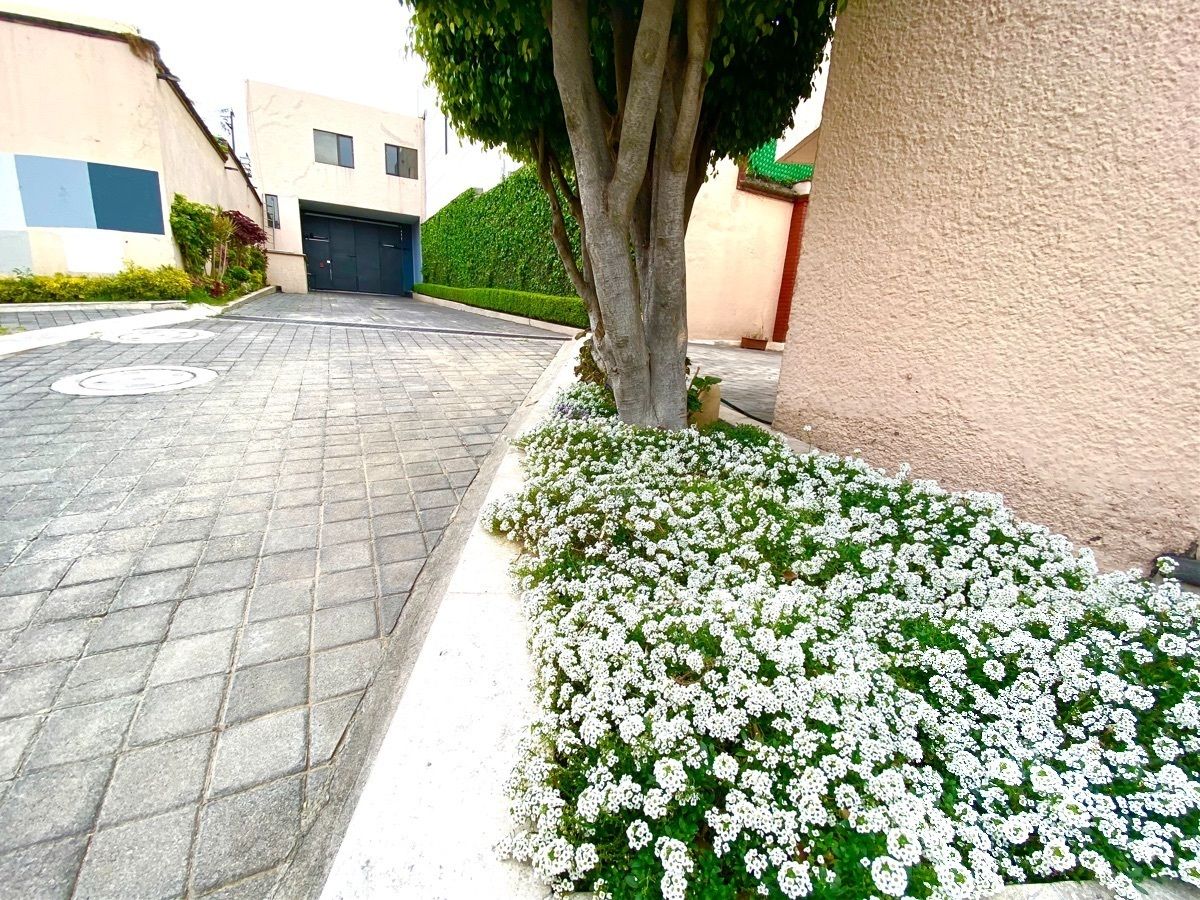 House in Gated Community in Lomas Quebradas, La Magdalena Contreras, photo 17 of 38