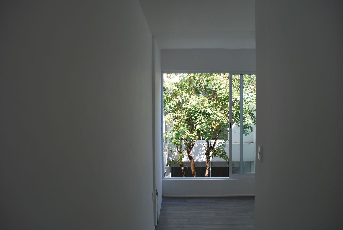 13 de 16: ARBOLES EN EL LOS PATIOS