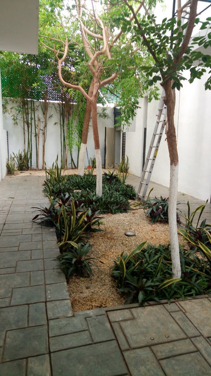 19 de 19