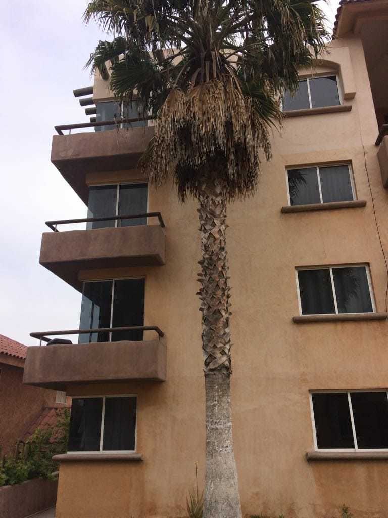 5 de 22