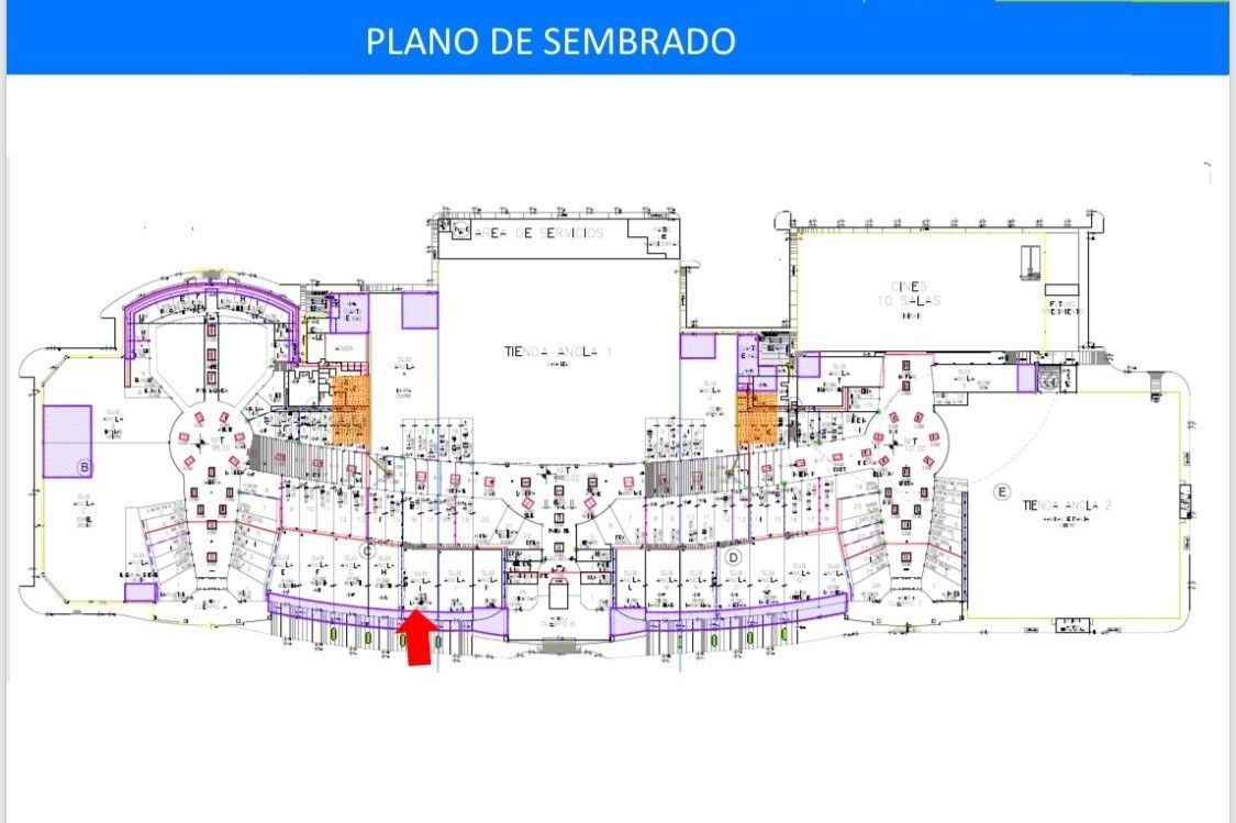 5 de 5