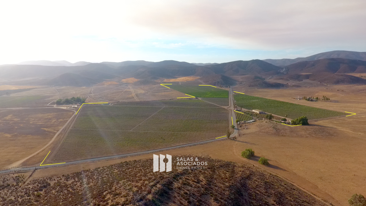 Venta de Viñedo Productivo en Valle de Guadalupe | De 13 a 30 Hectáreas - foto 3