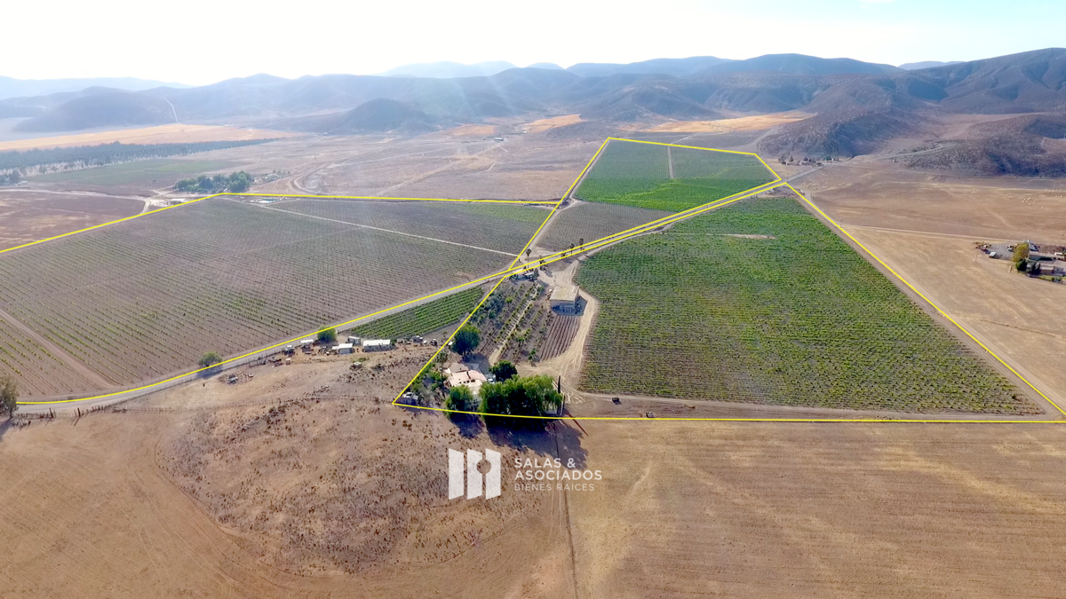 Venta de Viñedo Productivo en Valle de Guadalupe | De 13 a 30 Hectáreas - foto 1