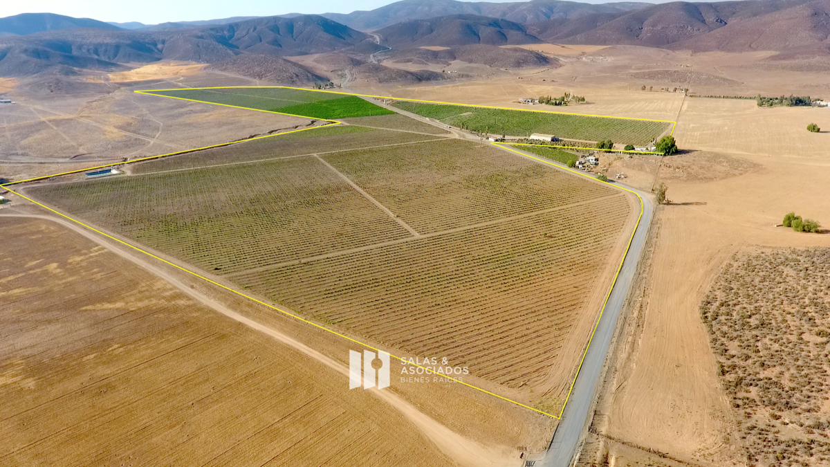 Venta de Viñedo Productivo en Valle de Guadalupe | De 13 a 30 Hectáreas - foto 4