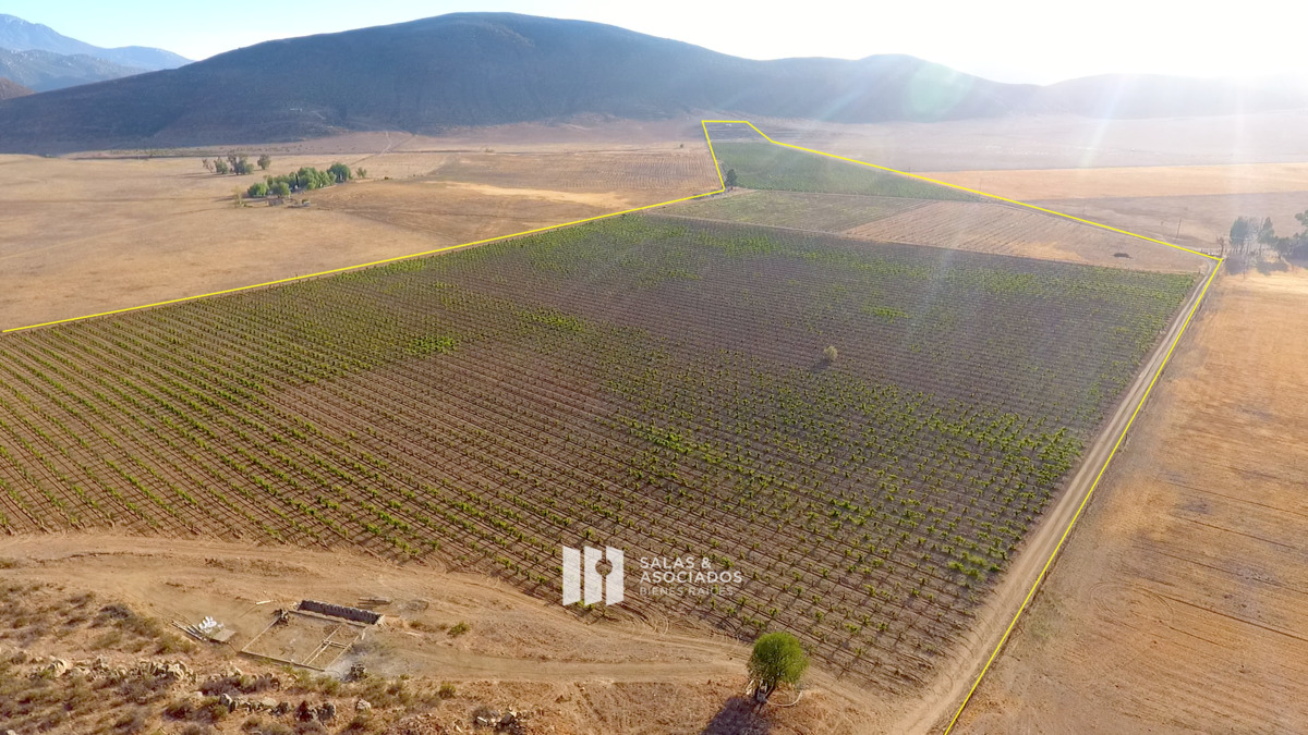 Se Venden de 17 a 30 Hectáreas con Viñedo | Valle de Guadalupe - foto 1