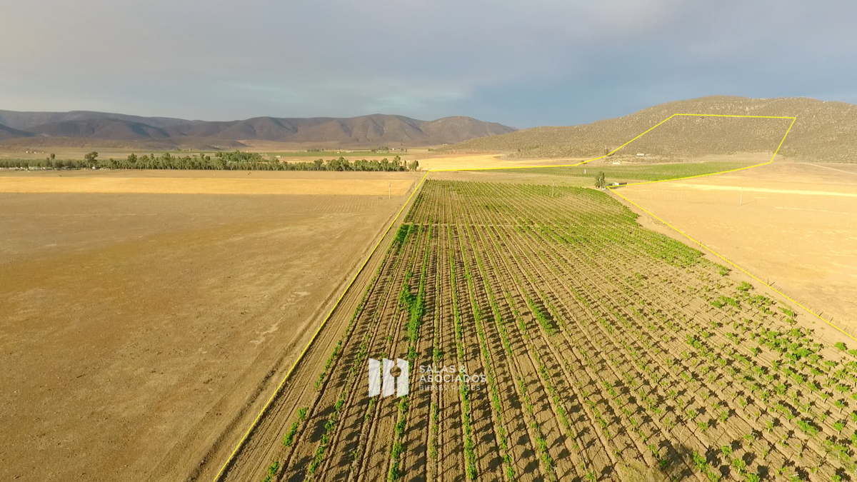 Se Venden de 17 a 30 Hectáreas con Viñedo | Valle de Guadalupe - foto 3