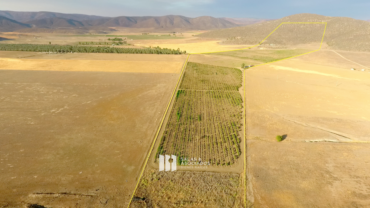 Se Venden de 17 a 30 Hectáreas con Viñedo | Valle de Guadalupe - foto 4
