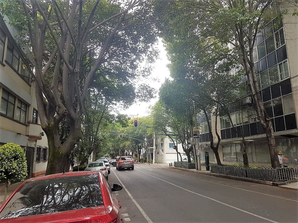 Departamento en Cuauhtémoc, Cuauhtémoc, foto 10 de 22