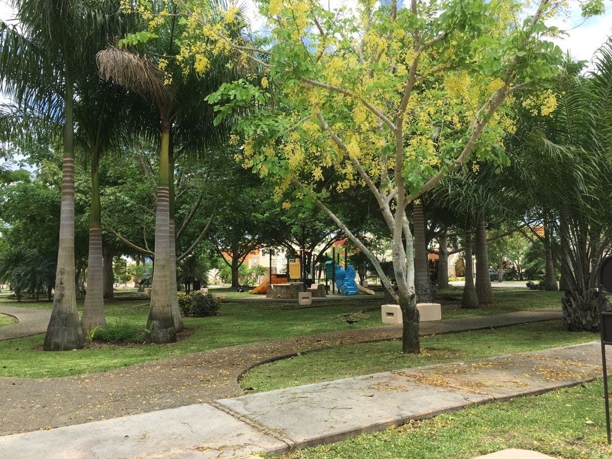 House in Gated Community in Temozón Norte, Mérida, photo 26 of 38