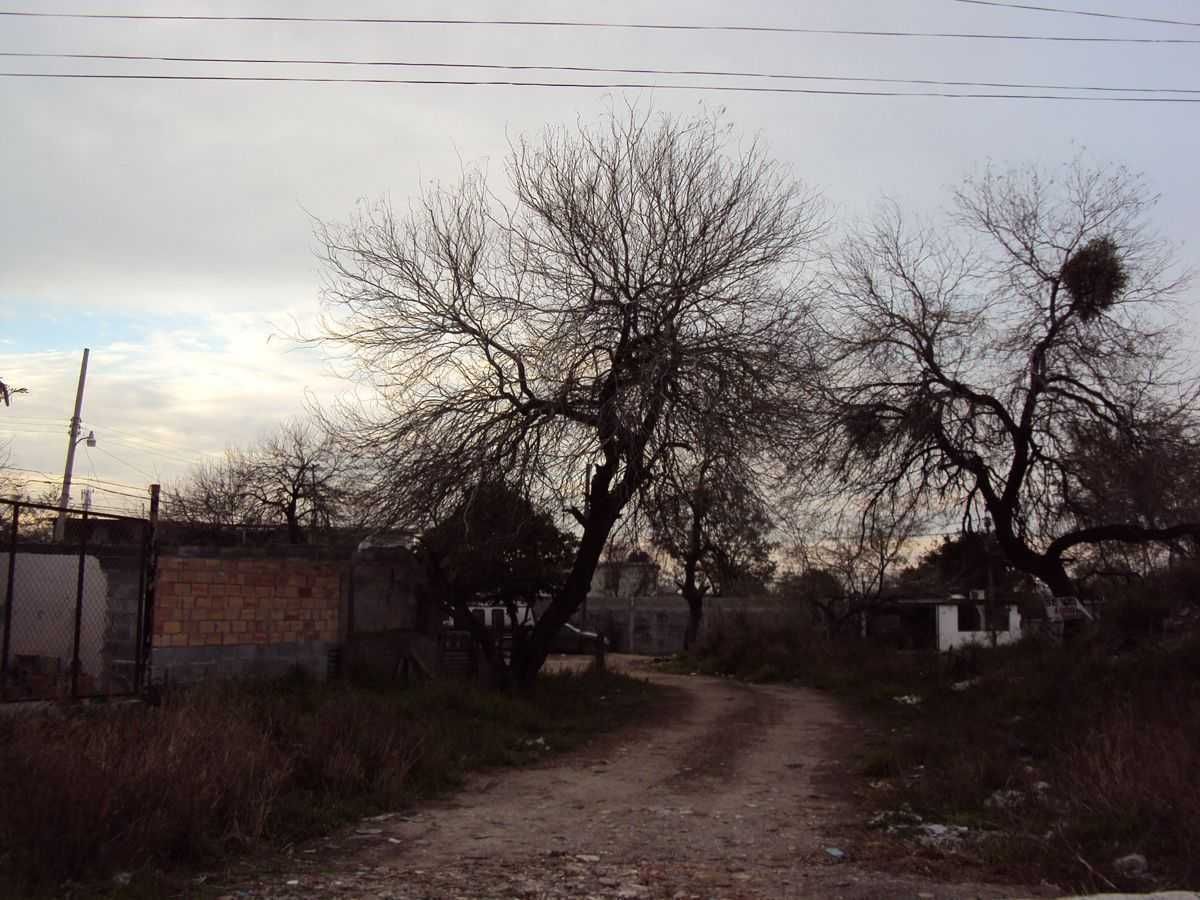 1 de 7