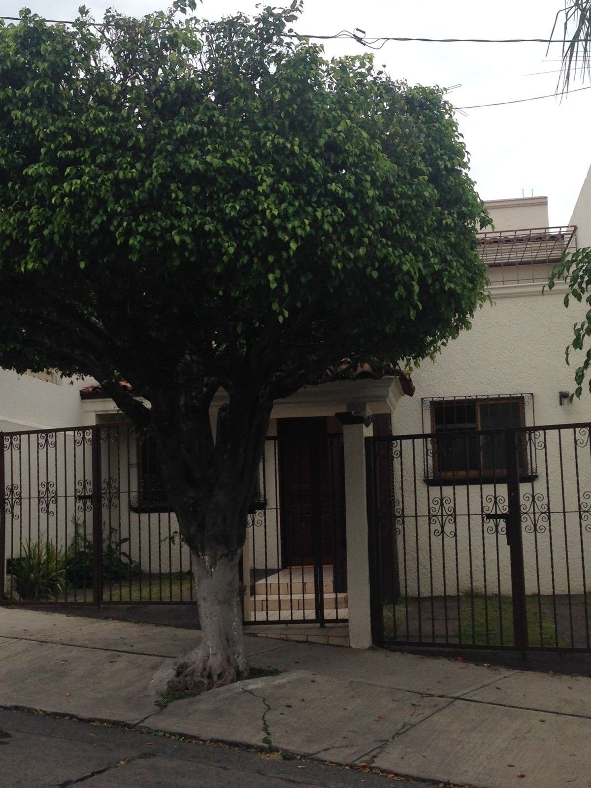 3 de 27