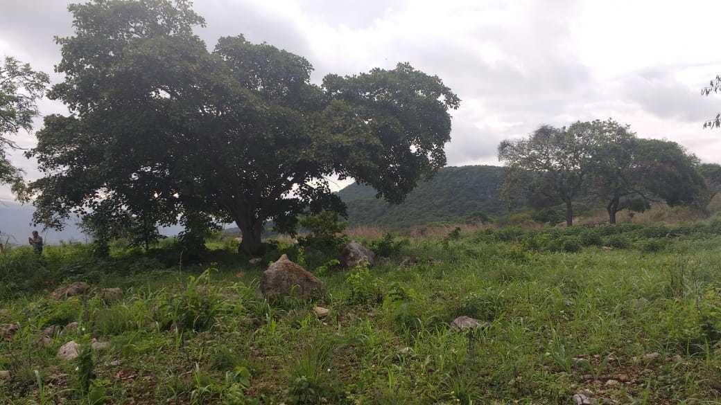 5 de 7: Terreno plano