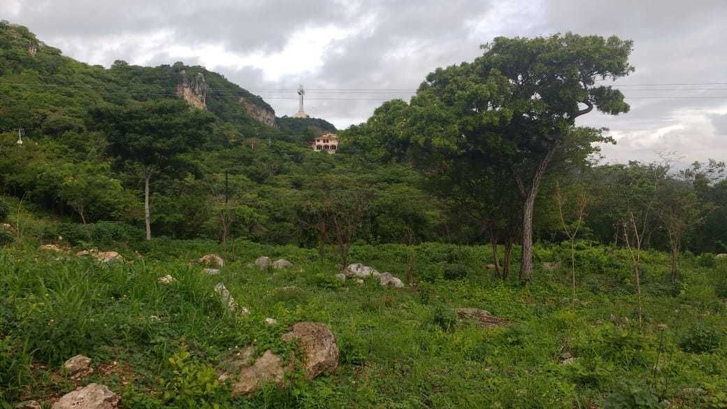 2 de 7: Vista del Cristo de Copoya desde la propiedad