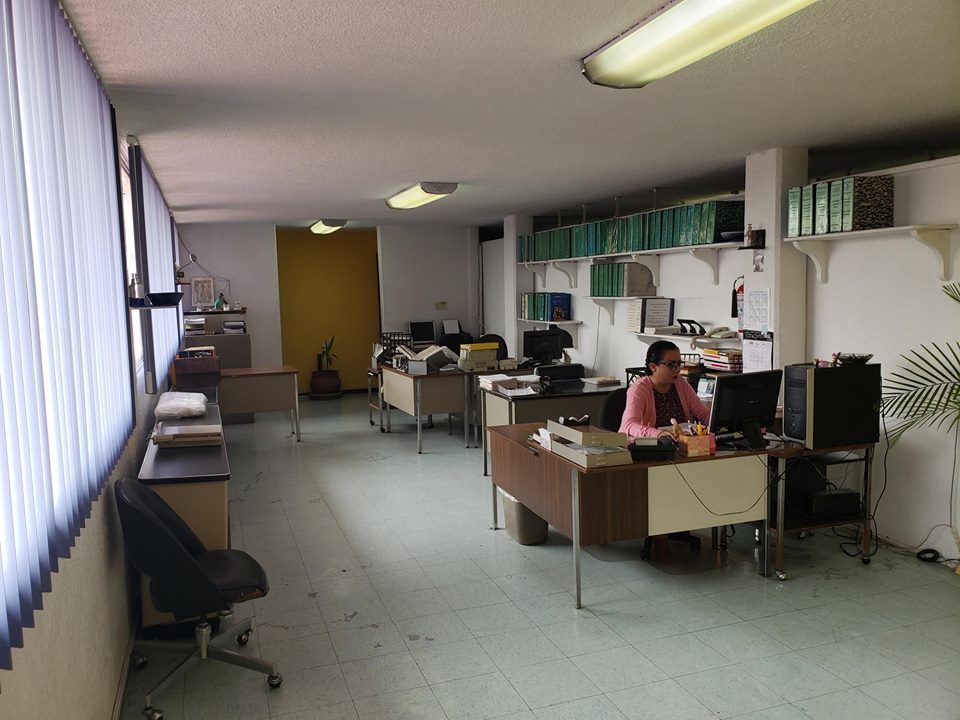 3 de 13