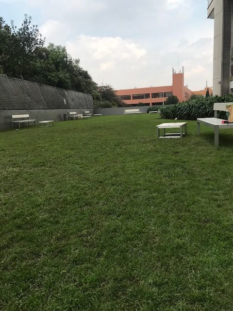32 de 36