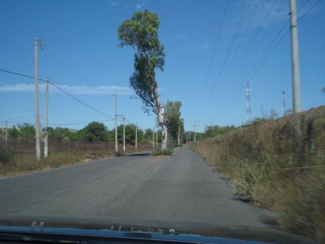 3 de 14