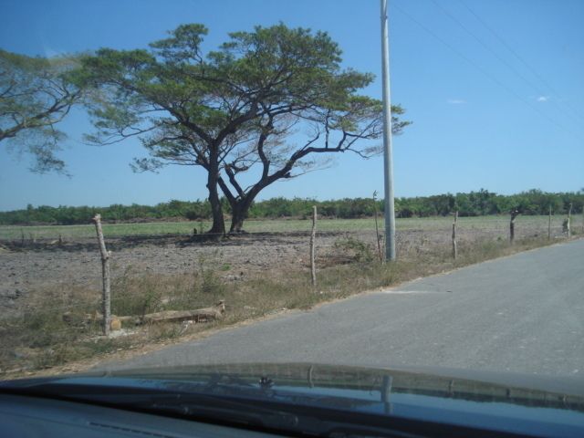 1 de 14
