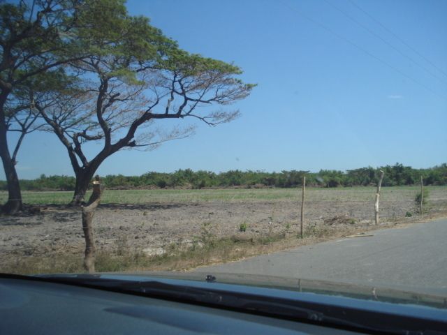 2 de 14