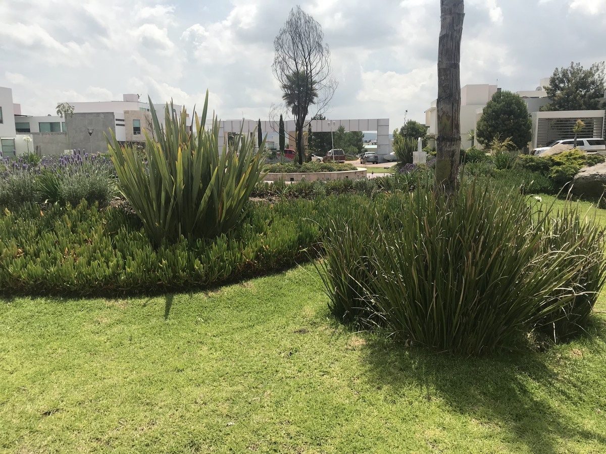 2 de 11: Lote en venta - La Excelencia Residencial - Pachuca - Areas 