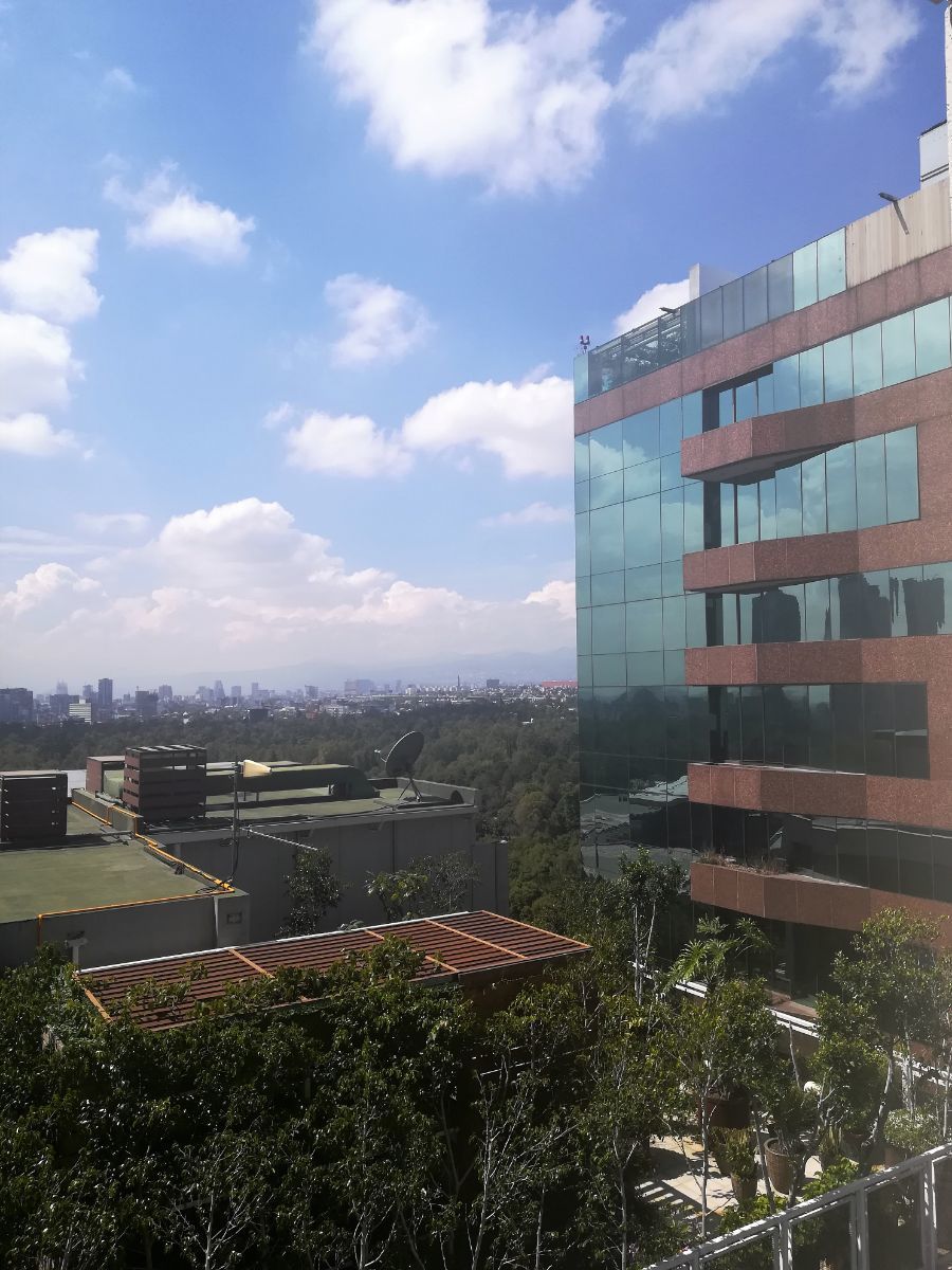 8 de 23