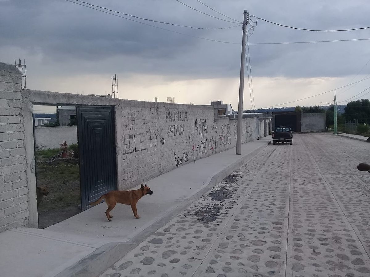 3 de 14