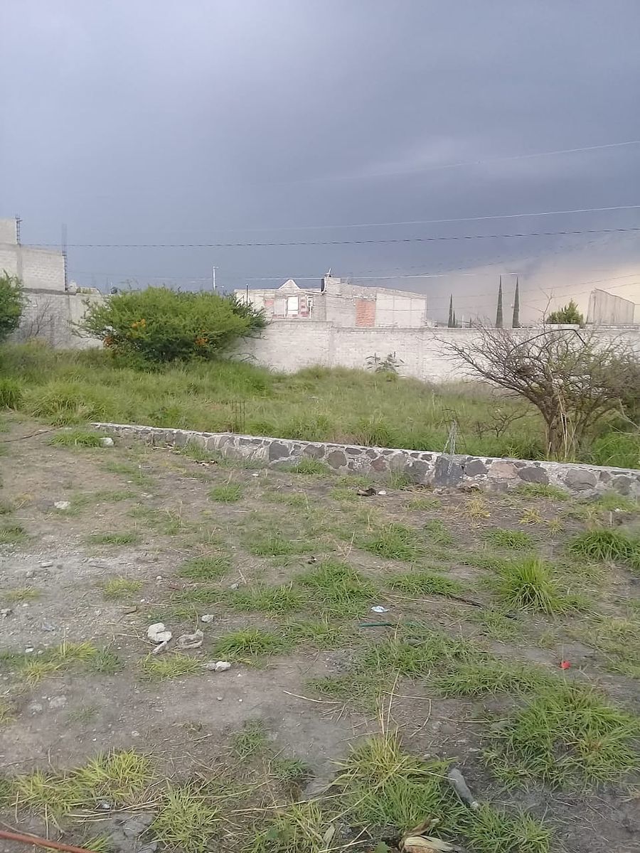 2 de 14