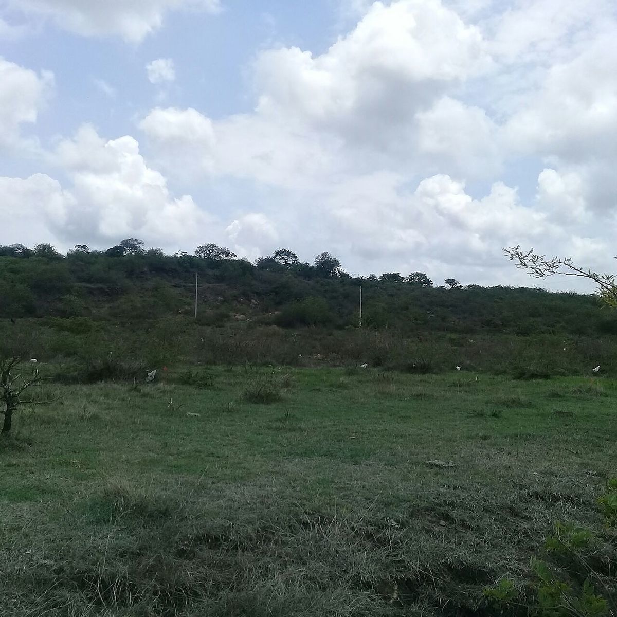 3 de 6
