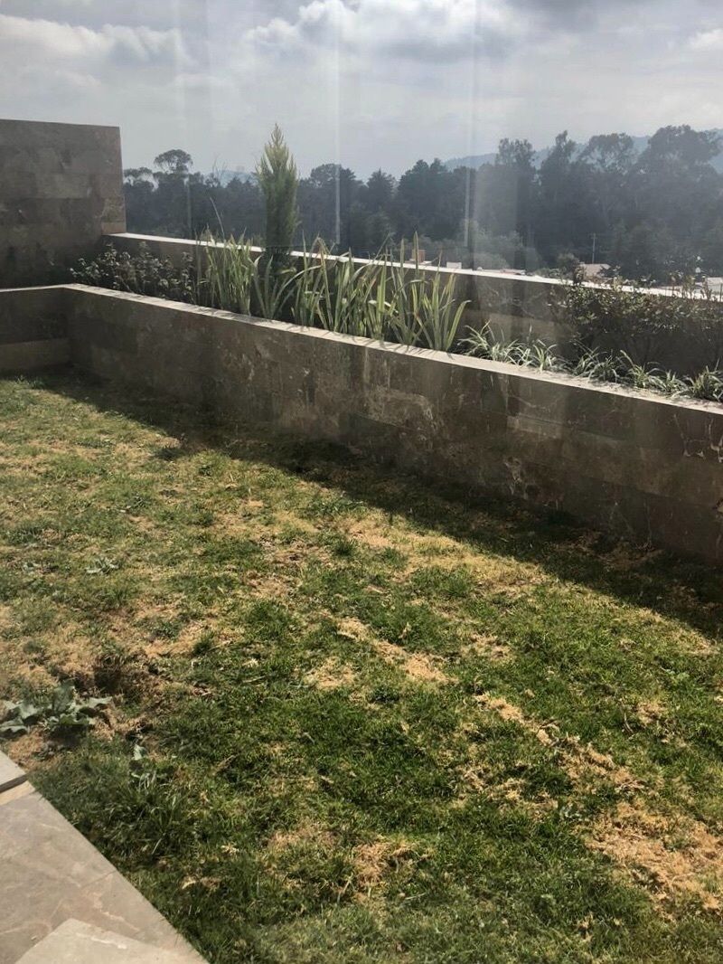 15 de 31