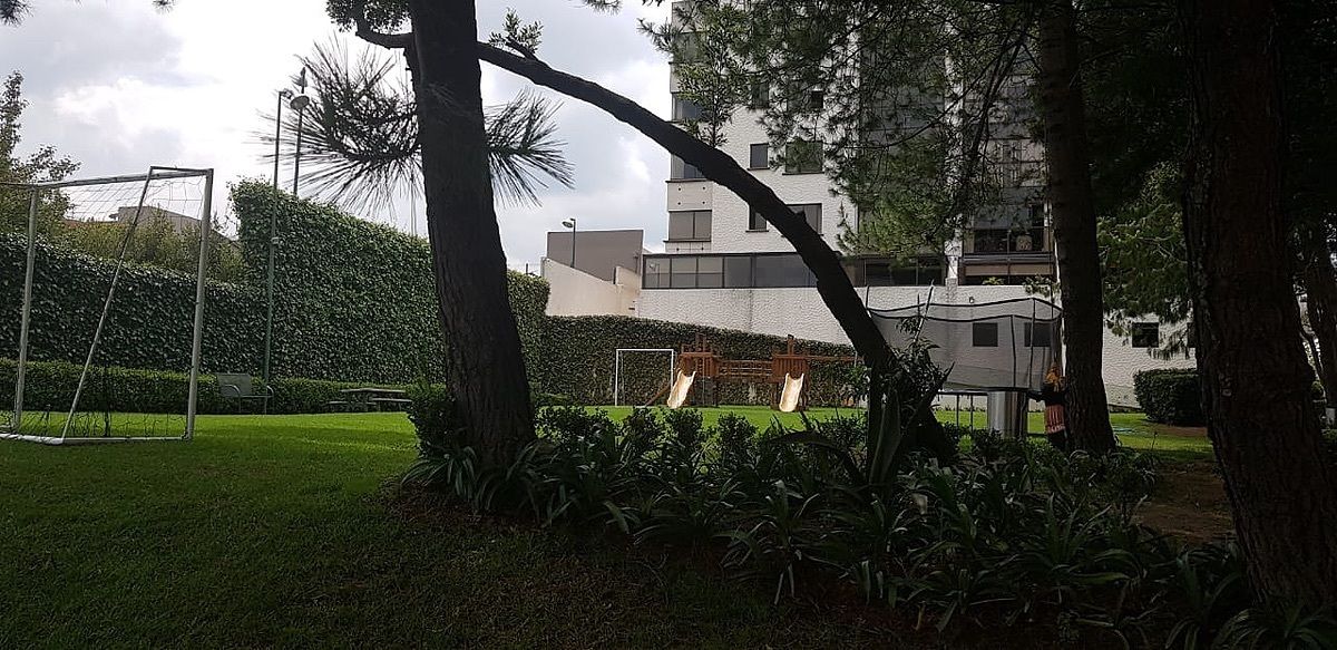 3 de 21