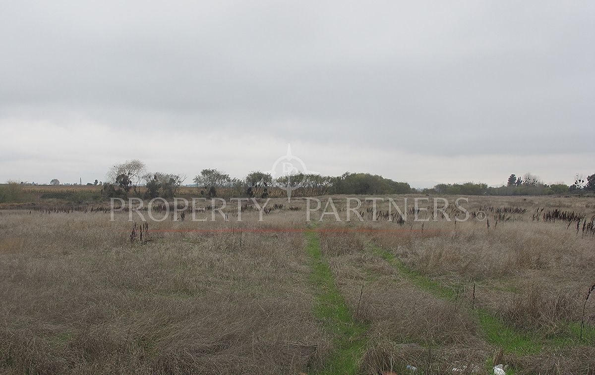 2 de 4: Vista del terreno