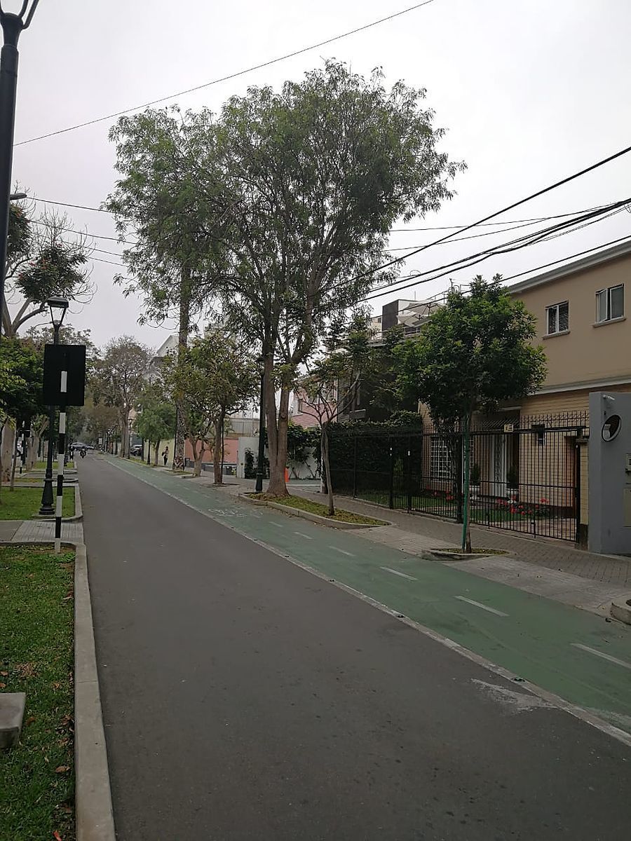 10 de 15: Vista de la calle con paseo para bicicletas