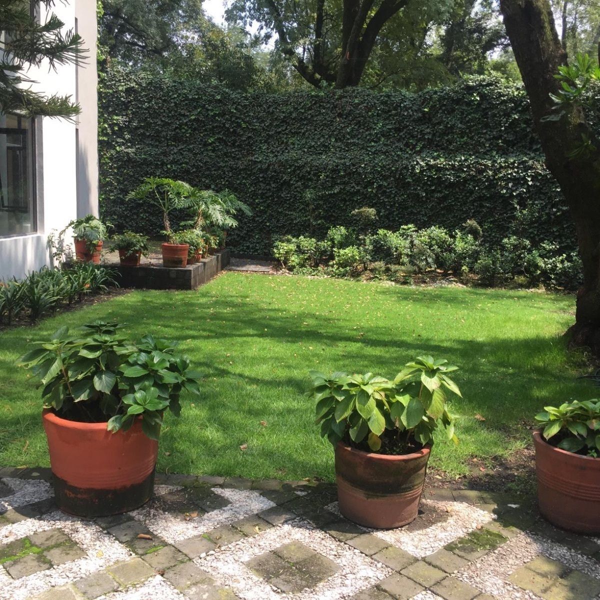 Casa en condominio en San Ángel, Álvaro Obregón, foto 33 de 34