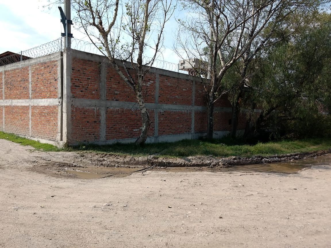 11 de 16