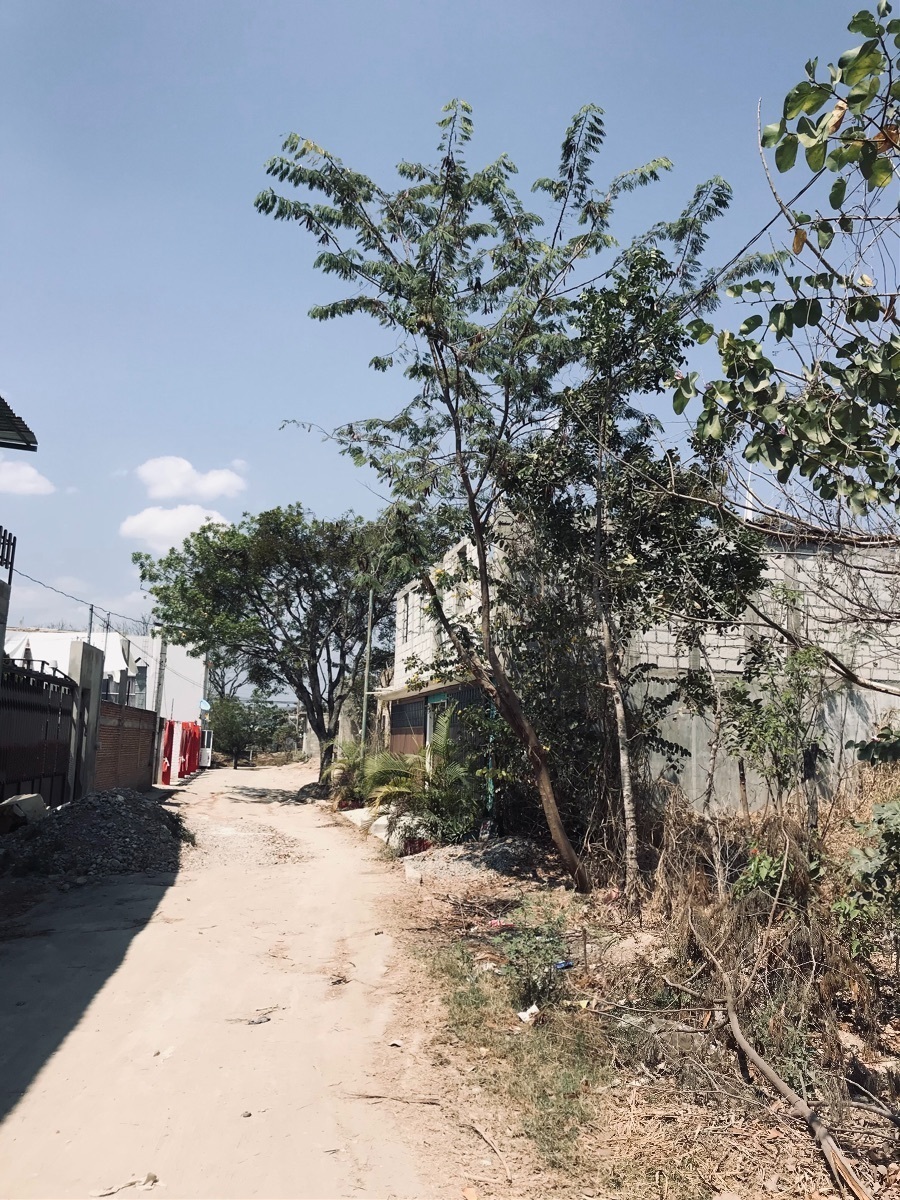 2 de 6: Terreno en venta Loma Bonita Terán, vista acceso de calle