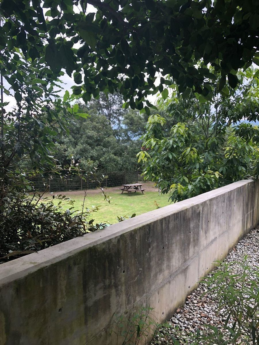 19 de 31: Muchas áreas verdes