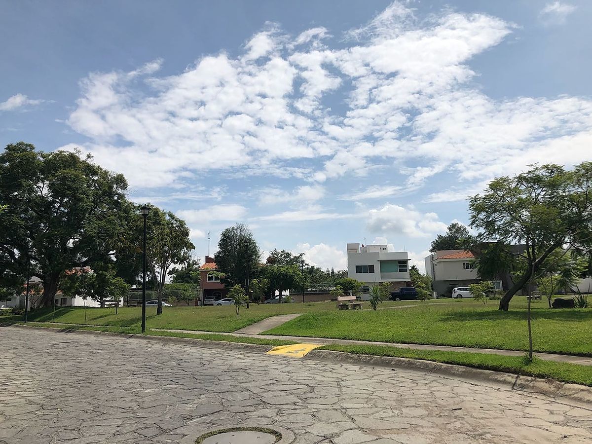 9 de 10: VISTA DE AREAS VERDES