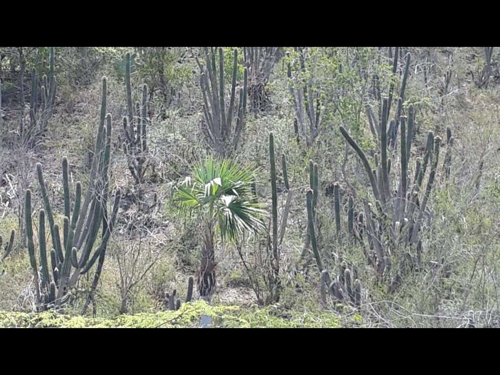 1 de 4