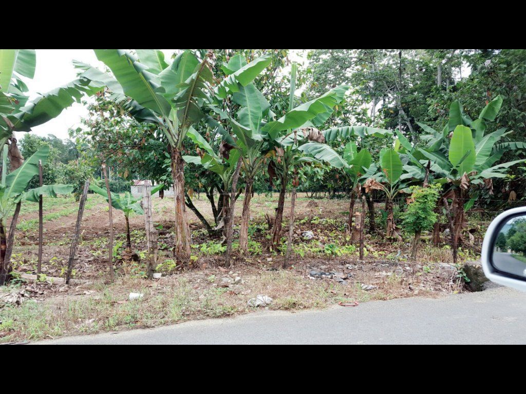 3 de 4