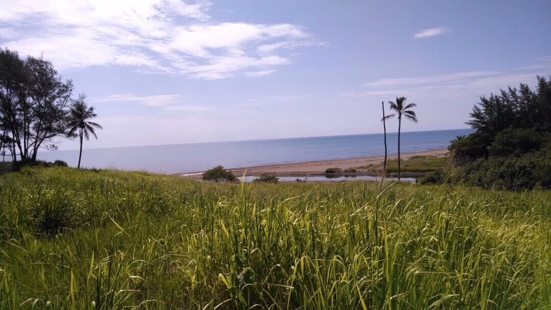 5 de 10