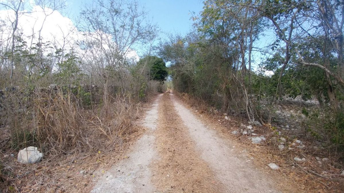 Terrenos de inversión en Telchac Puerto - foto 2
