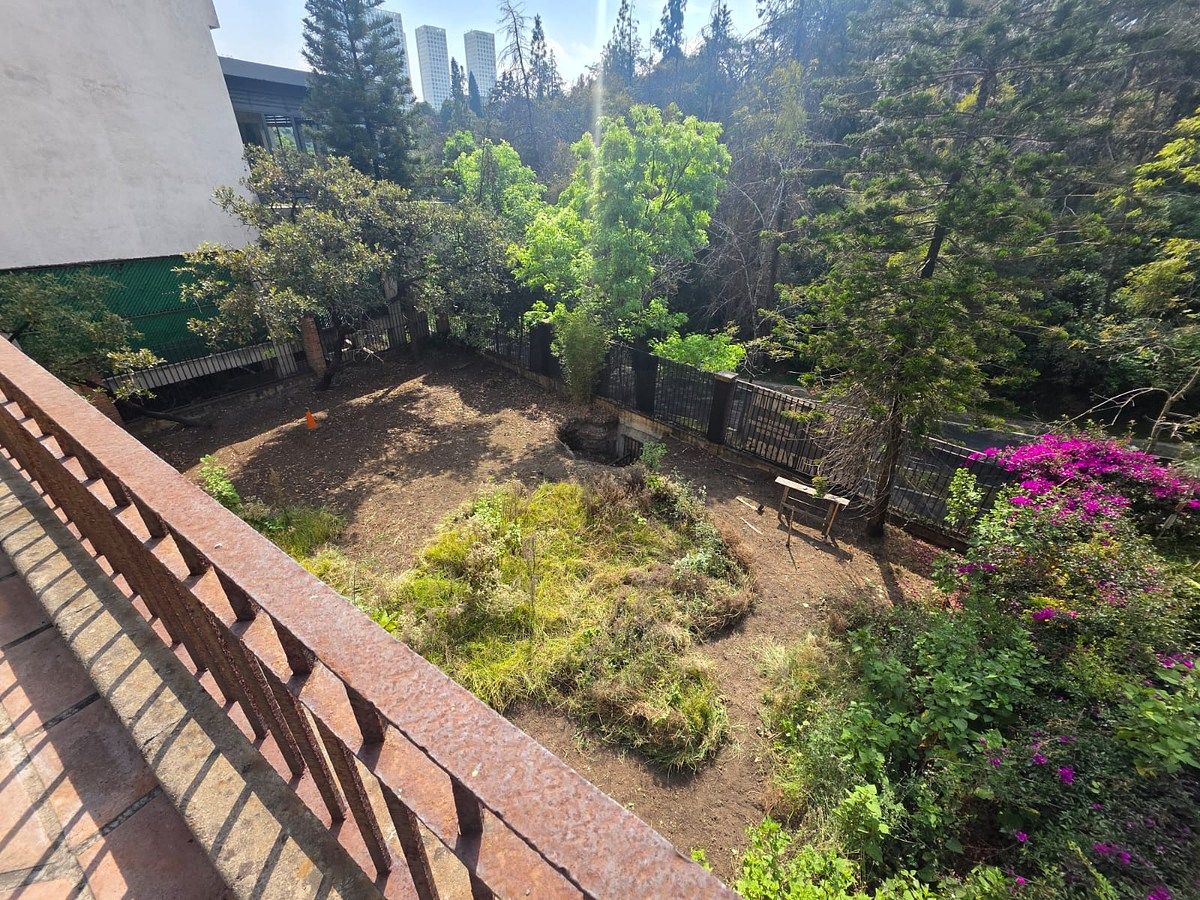 Terreno en Bosques de las Lomas, Cuajimalpa de Morelos, foto 11 de 16
