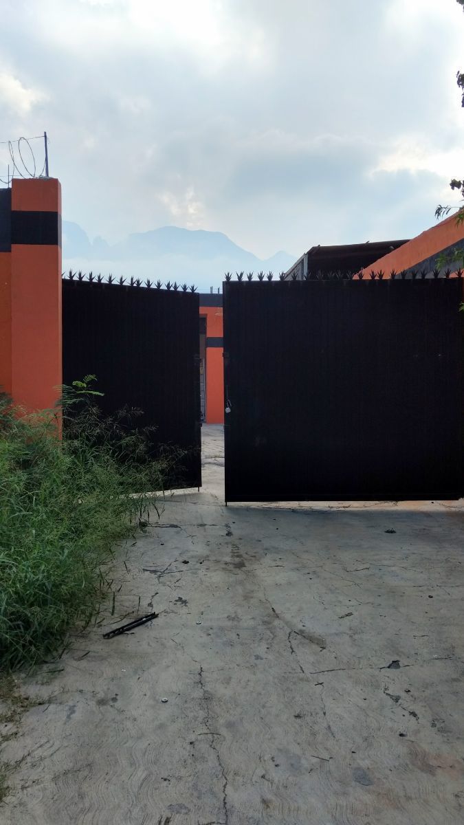 3 de 12