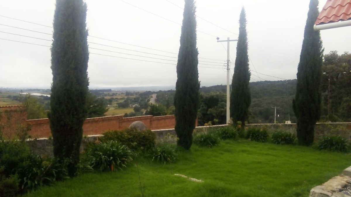 5 de 25