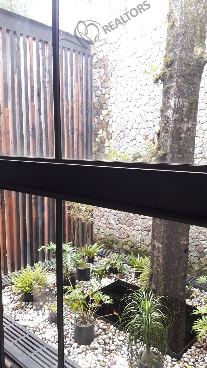 27 of 42: Jardín interior en la entrada principal 