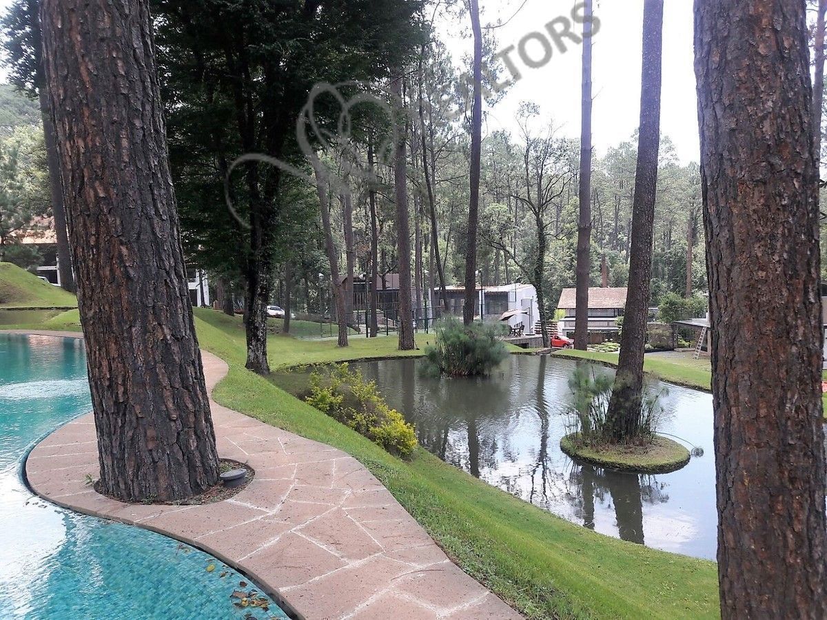 1 of 42: Bosque verde cuenta con lagos y cascadas