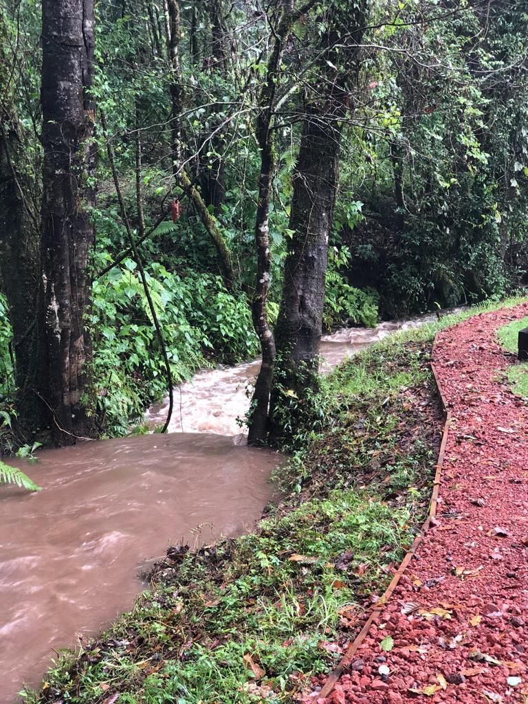 17 of 42: Riachuelo en la parte posterior del jardín